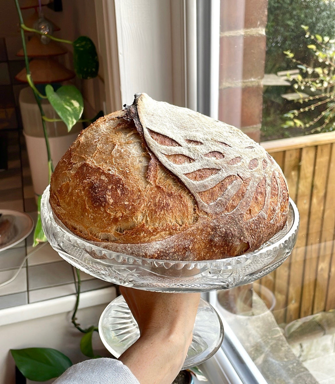 Straightforward Traditional Artisan Sourdough Loaf