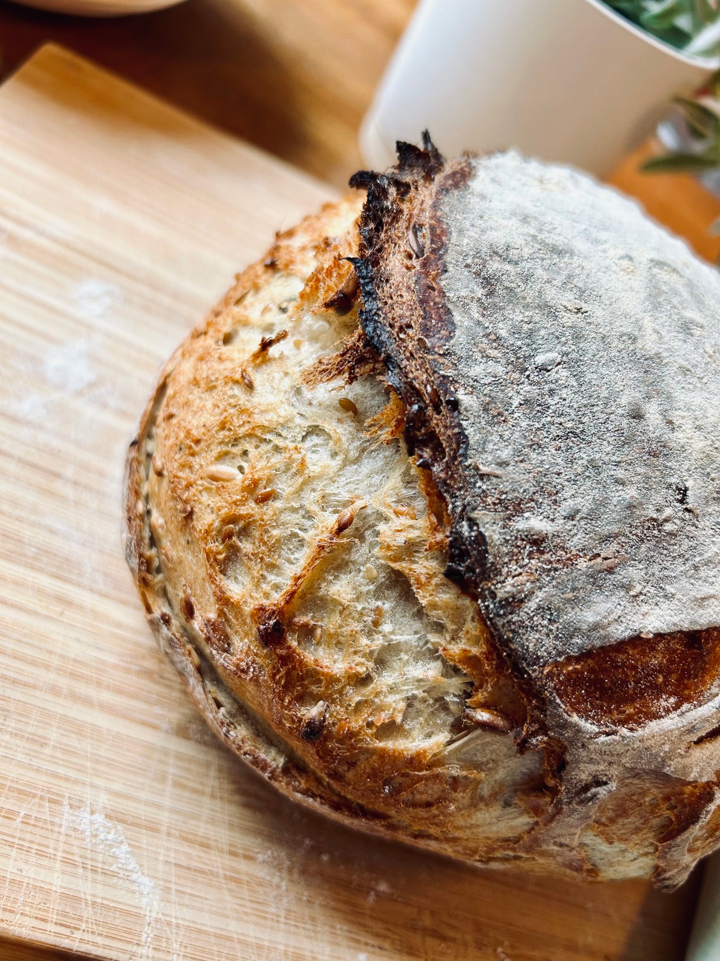 Organic Sourdough Starter + Instructions and Recipes! 15 grams / 0.5oz - made with locally sourced stoneground biodynamic flour