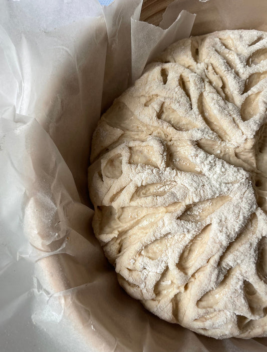 PDF: How to Bake Sourdough at Home + Loaf, Focaccia, and Bagel Recipes!
