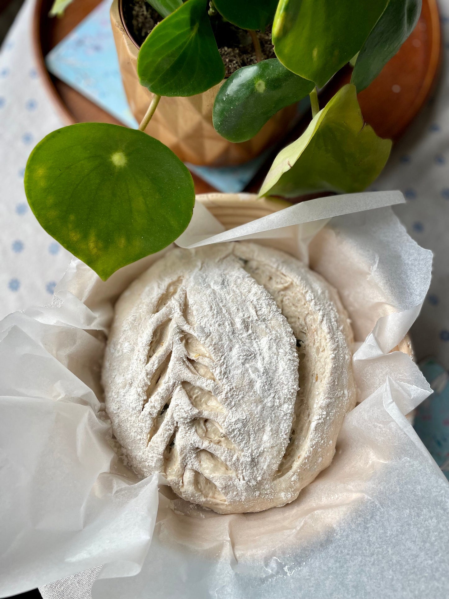 PDF: How to Bake Sourdough at Home + Loaf, Focaccia, and Bagel Recipes!