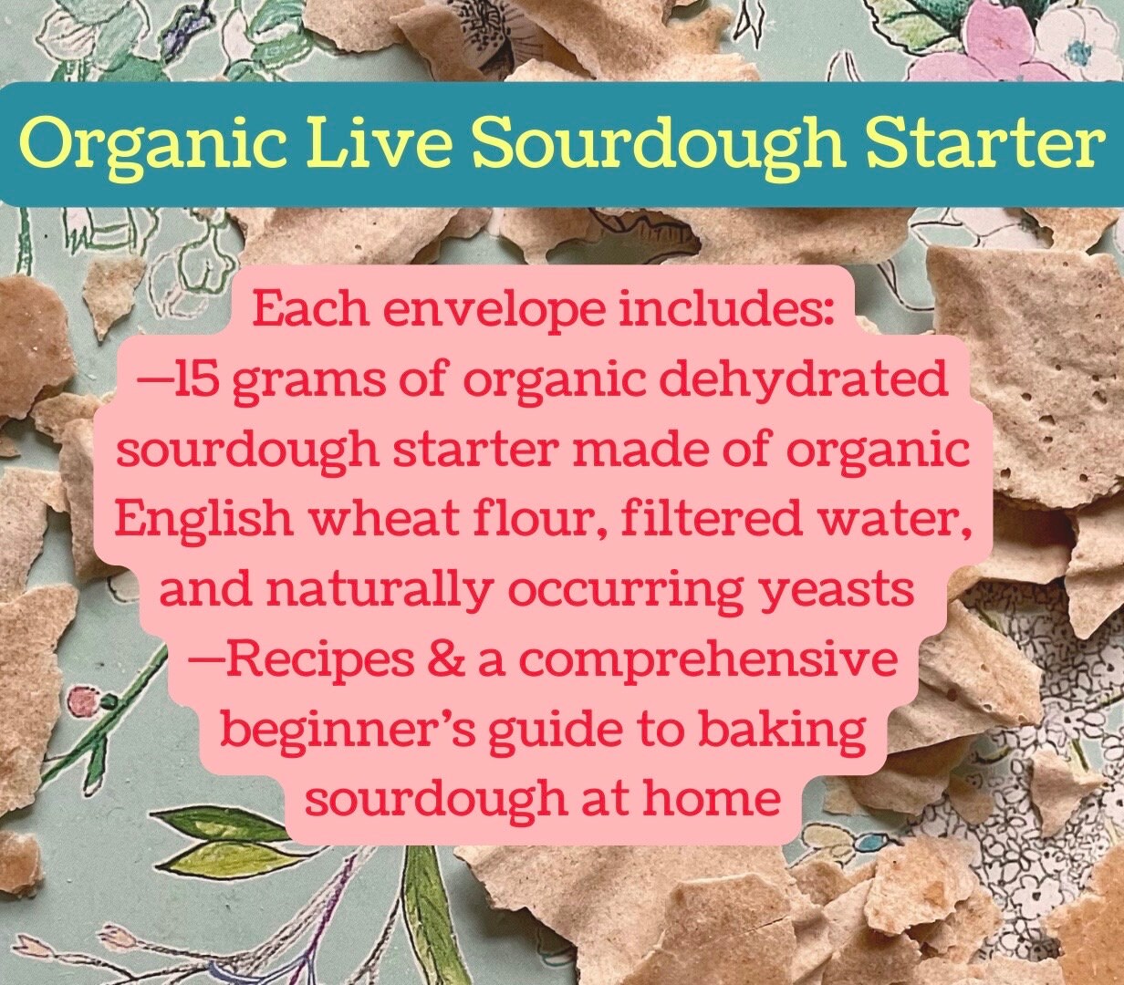 Organic Sourdough Starter + Instructions and Recipes! 15 grams / 0.5oz - made with locally sourced stoneground biodynamic flour